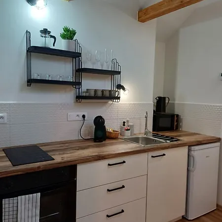 Loft Apartmán Karlovy Vary